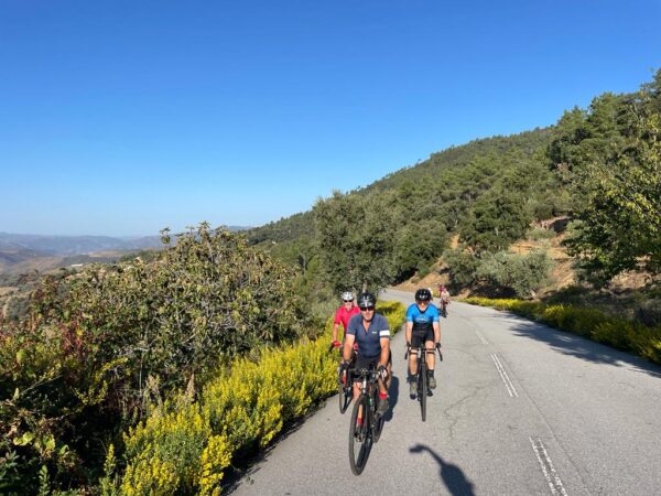 Alte - Montes Novos Loop (80km)