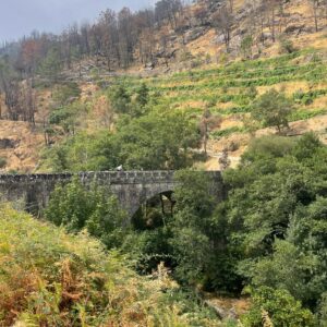 Douro Valley 6-Day Road Tour