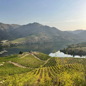 Douro Valley 6-Day Gravel Tour