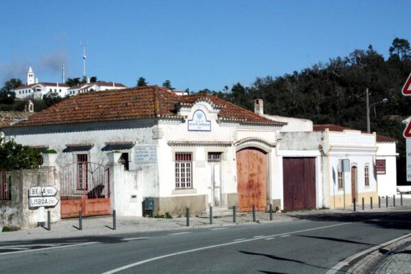 Alte to Barranco Loop (60km)